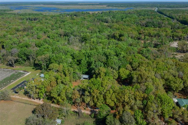 2005 Ne 185 Th St, House other with 3 bedrooms, 2 bathrooms and null parking in CITRA FL | Image 58