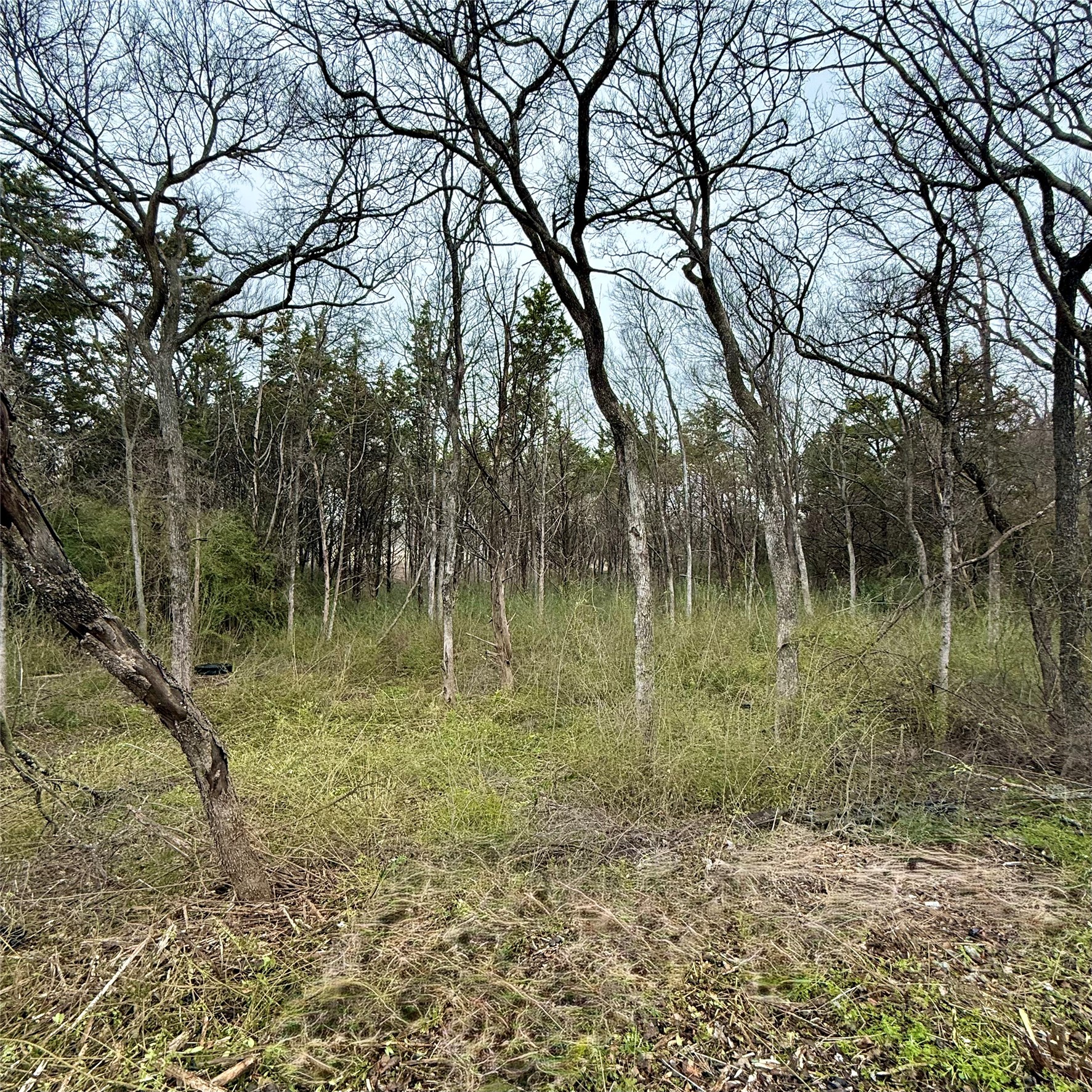 Land in Dallas 4