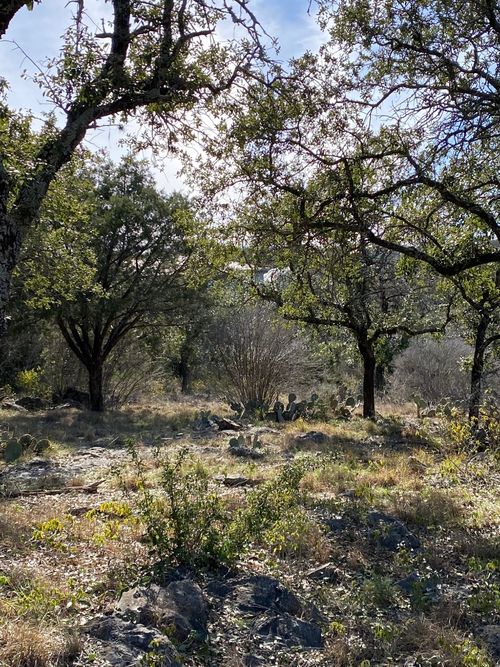 313 Sweet Grass, Horseshoe Bay, TX, 78657-2089 | Card Image