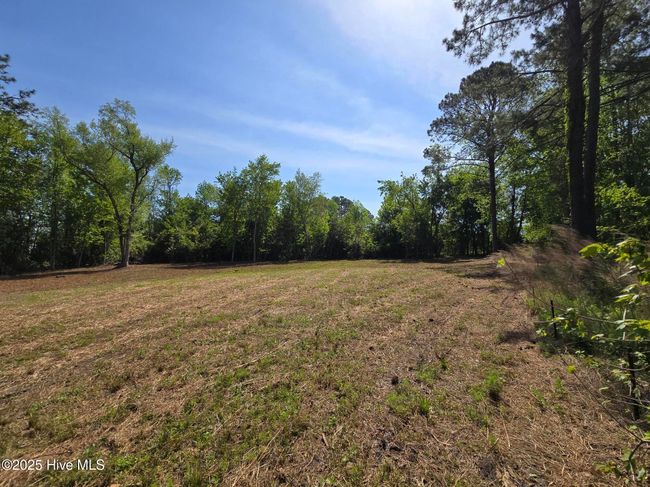 1254 Shenandoah St, Home with 0 bedrooms, 0 bathrooms and null parking in Wilmington NC | Image 18