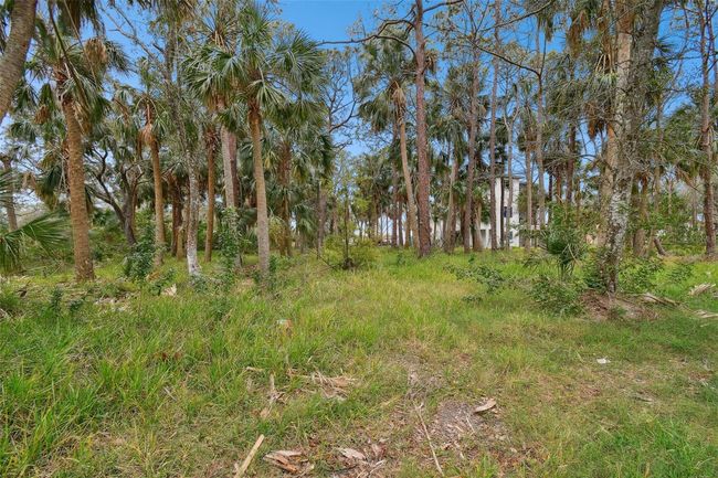 00 Phoenix Ave, Home with 0 bedrooms, 0 bathrooms and null parking in OLDSMAR FL | Image 28
