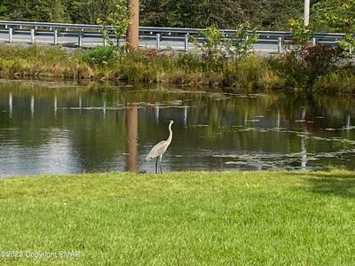 Lake | Image 2