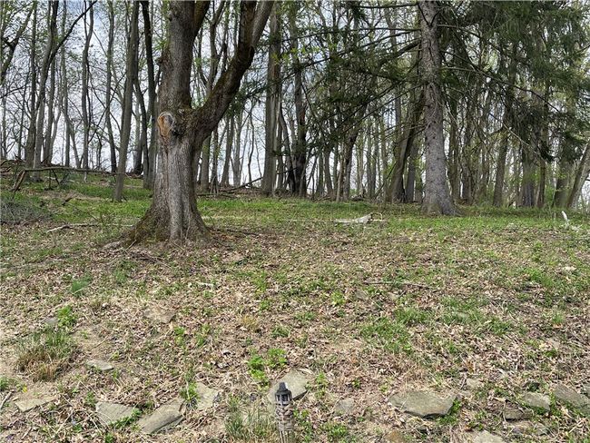 wooded view, double lot | Image 9