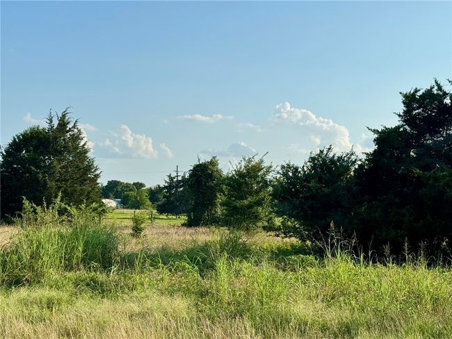 View of nature | Image 13
