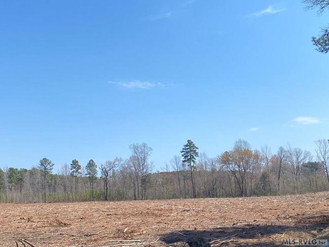 32.49 Ac Chalk Level Rd, Home with 0 bedrooms, 0 bathrooms and null parking in Alberta VA | Image 12