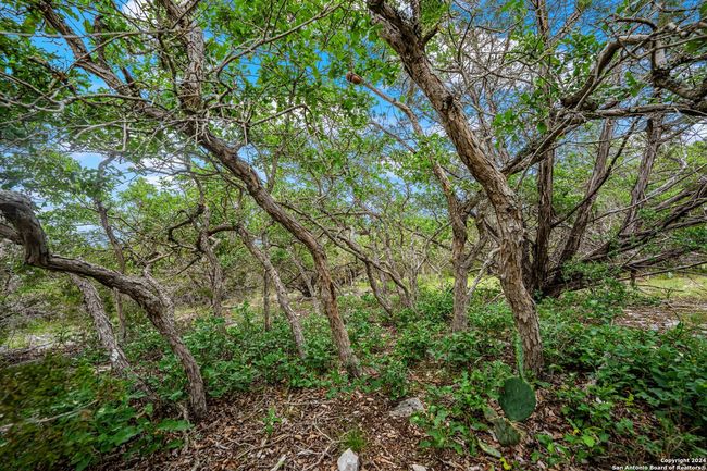200 Countless Views Dr N, Home with 0 bedrooms, 0 bathrooms and null parking in Kerrville TX | Image 13