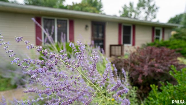 802 Winters St, House other with 3 bedrooms, 1 bathrooms and null parking in Augusta IL | Image 37