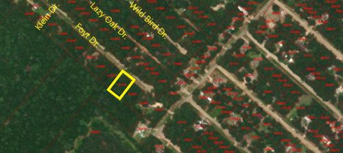 TBD Foyt Dr, Livingston, TX, 77351 | Card Image