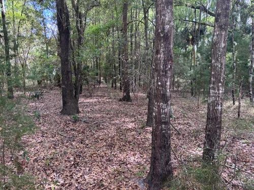 1.77 acres Nw 73 Street, CHIEFLAND, FL, 32626 | Card Image