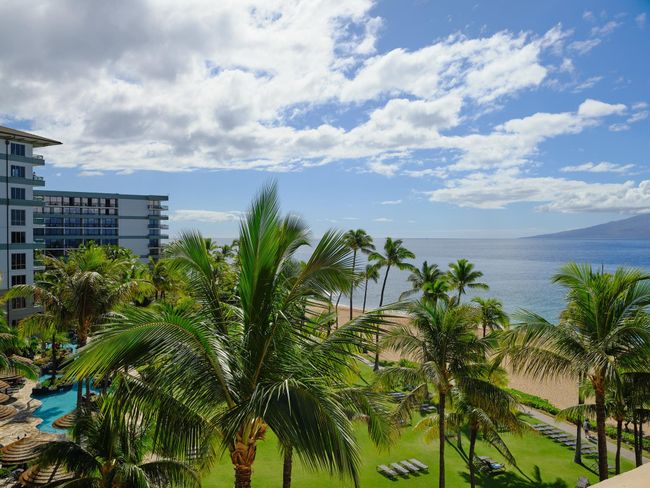 704 - 50 Nohea Kai Dr, Condo with 2 bedrooms, 2 bathrooms and null parking in Lahaina HI | Image 14