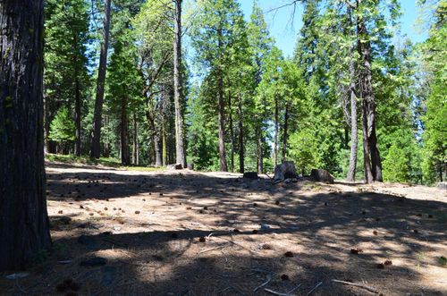 3112 Apache Rd, Arnold, CA, 95223 | Card Image
