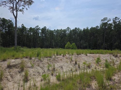 139 Rayburn Reserve Dr, Brookeland, TX, 75931 | Card Image