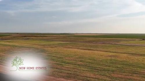 1014 Park Ln, Wilson, TX, 79381 | Card Image
