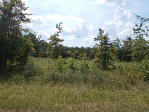 1705 Grant 53, Sheridan, AR, 72150 | Card Image