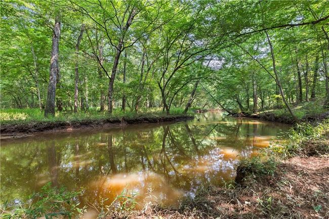 654 Cannon Rd, House other with 5 bedrooms, 4 bathrooms and 6 parking in Sharpsburg GA | Image 96