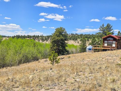 487 Indian Point Trl, Hartsel, CO, 80449 | Card Image