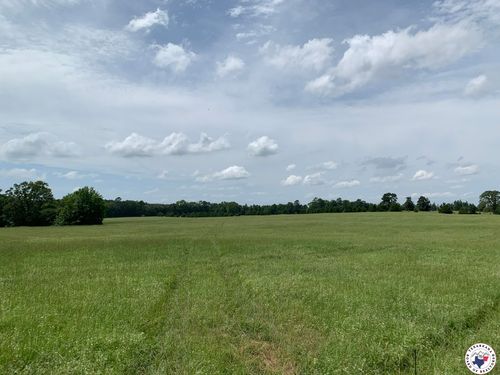 TBD County Road 3336, Atlanta, TX, 75551 | Card Image