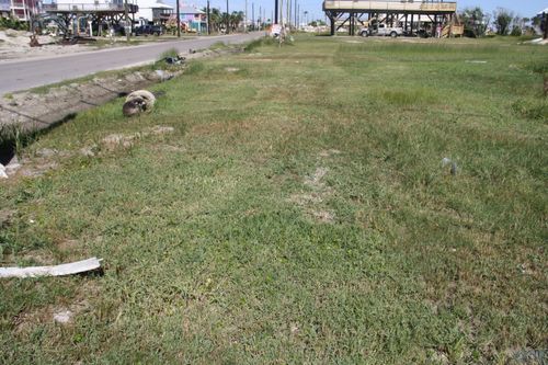 1808 Highway 1, Grand Isle, LA, 70358-9714 | Card Image