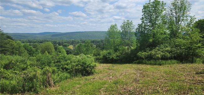 lot 30 Algerine Street, Home with 0 bedrooms, 0 bathrooms and null parking in Afton NY | Image 4