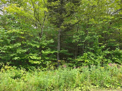 0 Oberhugel Rd, Stamford, VT, 05352 | Card Image