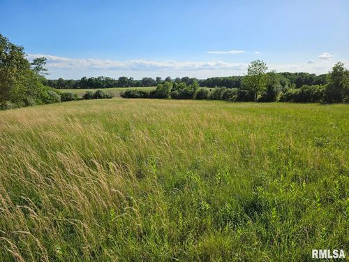 0000 E 300 Road, Dahlgren, IL, 62828 | Card Image