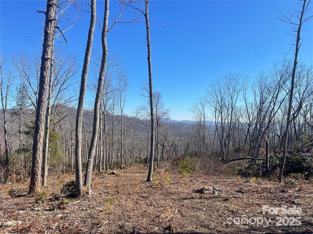 Land in Fletcher 2