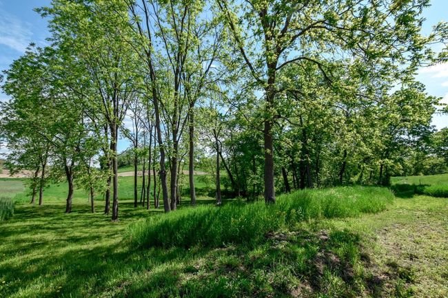 Lot 1 Stone Valley Road, Home with 0 bedrooms, 0 bathrooms and null parking in BERRY WI | Image 8