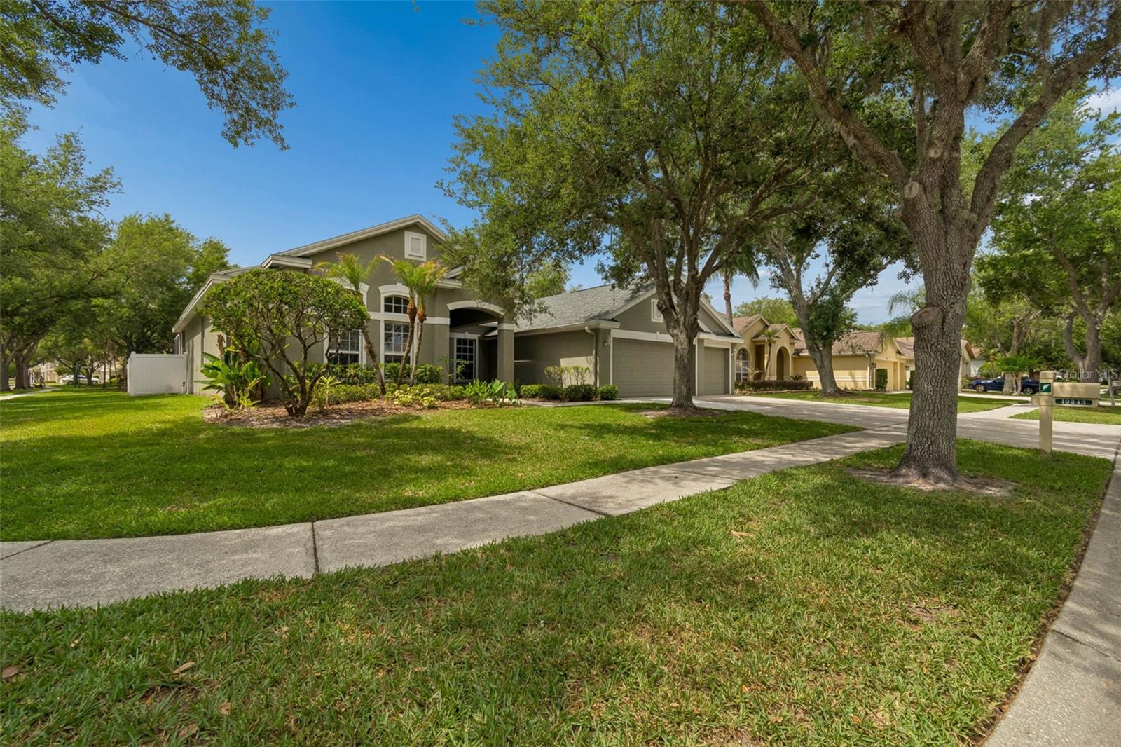 Residential in TAMPA 3
