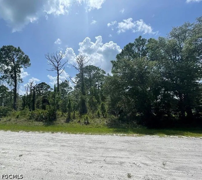 Land in Clewiston
