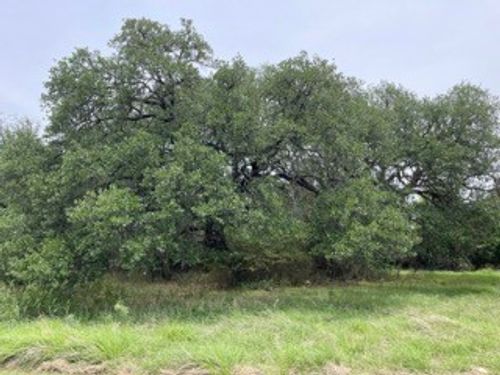 tbd Homewood Cir, Early, TX, 76802 | Card Image