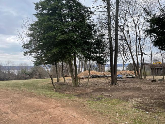 View of yard | Image 7