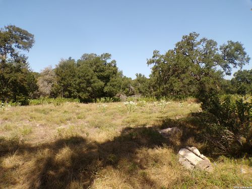 31401 Smithson Valley Rd, Bulverde, TX, 78163-2760 | Card Image
