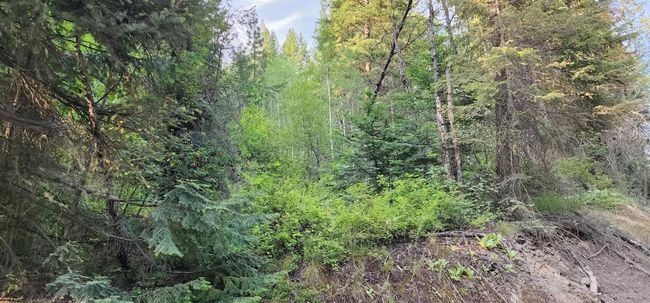 1555 Comstock Mine Rd, Home with 0 bedrooms, 0 bathrooms and null parking in Colville WA | Image 14