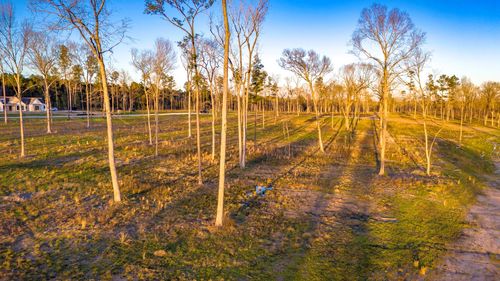 4 Johnson Dr, Livingston, TX, 77351 | Card Image