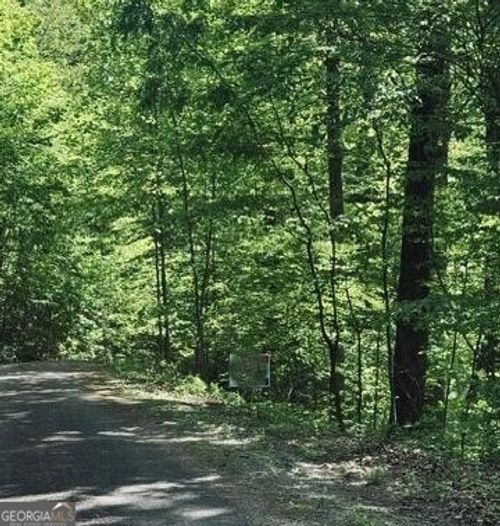 409 & 411 Barefoot Rise, Hiawassee, GA, 30546-2935 | Card Image