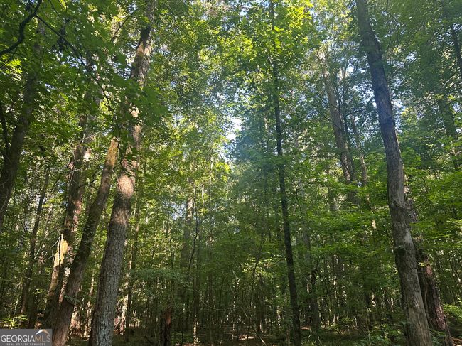 0 Highway 72 E, Home with 0 bedrooms, 0 bathrooms and null parking in Carlton GA | Image 13