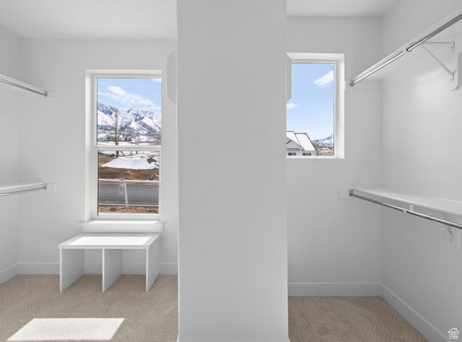 Primary Walk in closet with carpet floors | Image 9