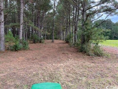 3029 Fowler Rd, Loris, SC, 29569-8398 | Card Image
