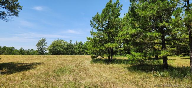 5253 S Research Rd, Home with 0 bedrooms, 0 bathrooms and null parking in Lane OK | Image 40