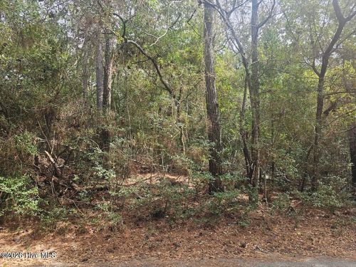 45 Fort Holmes Trl, Bald Head Island, NC, 28461-5053 | Card Image