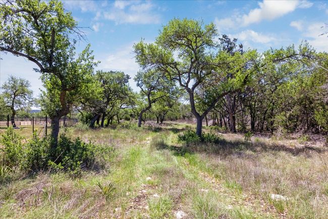 Au natural landscape toward back of lot | Image 14