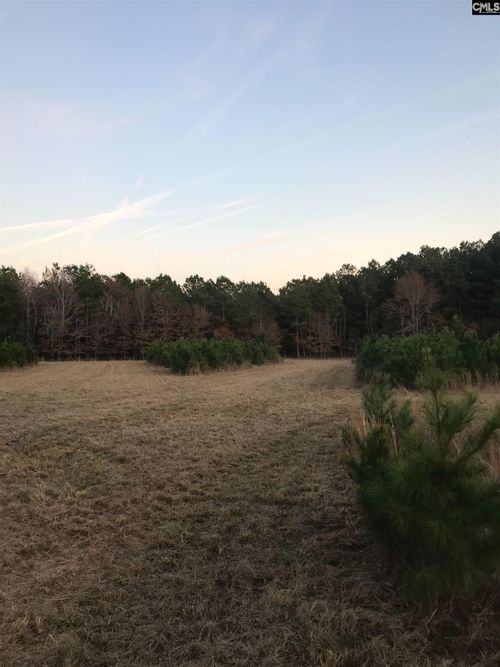 0 Basil Rd, Swansea, SC, 29160 | Card Image