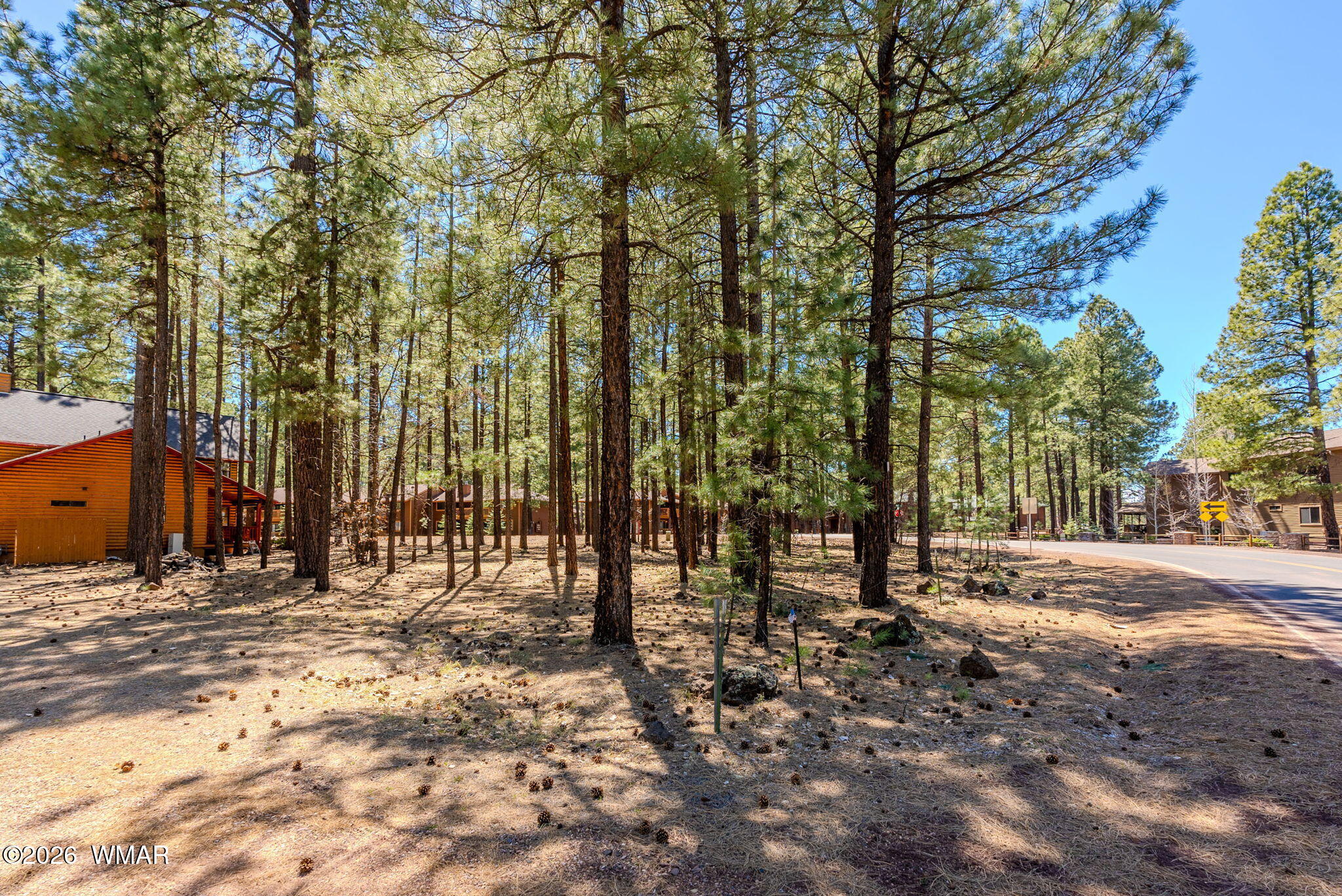 Land in Pinetop 5