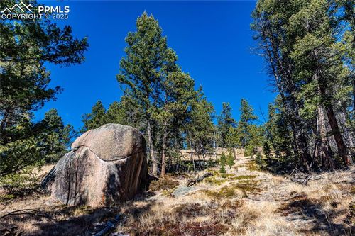 TBD Arrowhead Rd, Florissant, CO, 80816 | Card Image