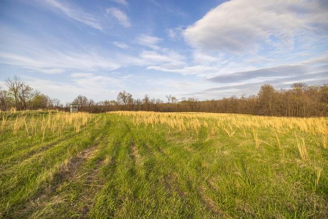View of local wilderness featuring a rural view | Image 79