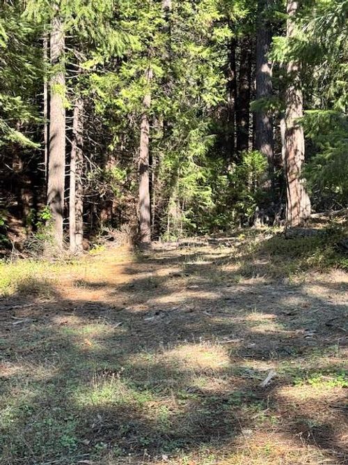 17630 Antelope Dr E, Pioneer, CA, 95666-9685 | Card Image