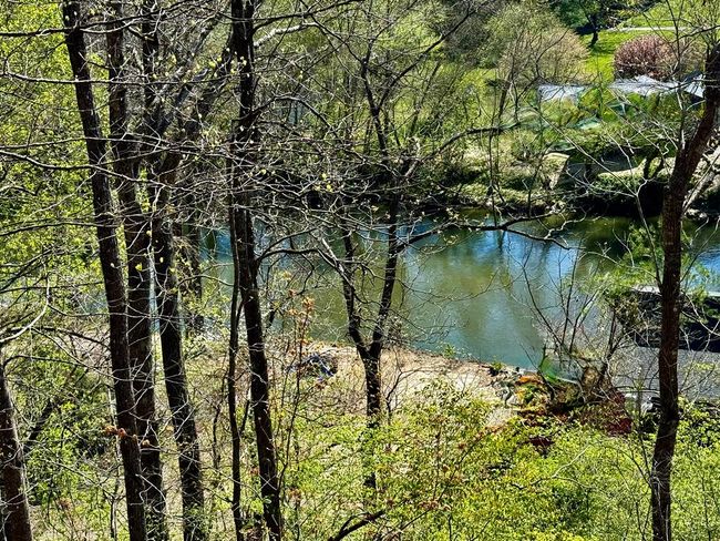 95 Remington Ln, House other with 3 bedrooms, 3 bathrooms and 2 parking in Murphy NC | Image 6