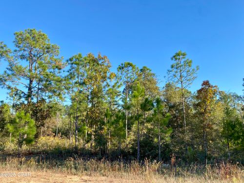 Lot 128 Nezperce Dr, Alford, FL, 32420 | Card Image