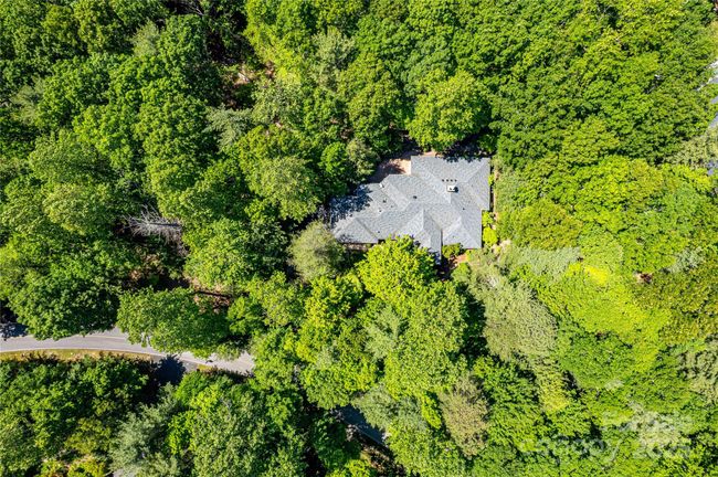 Privacy will be found on this mostly wooded lot | Image 4