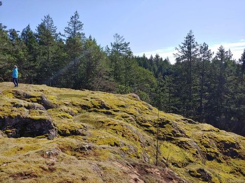 Lt 4 Main Rd, Lasqueti Island, BC, V0R2J0 | Card Image